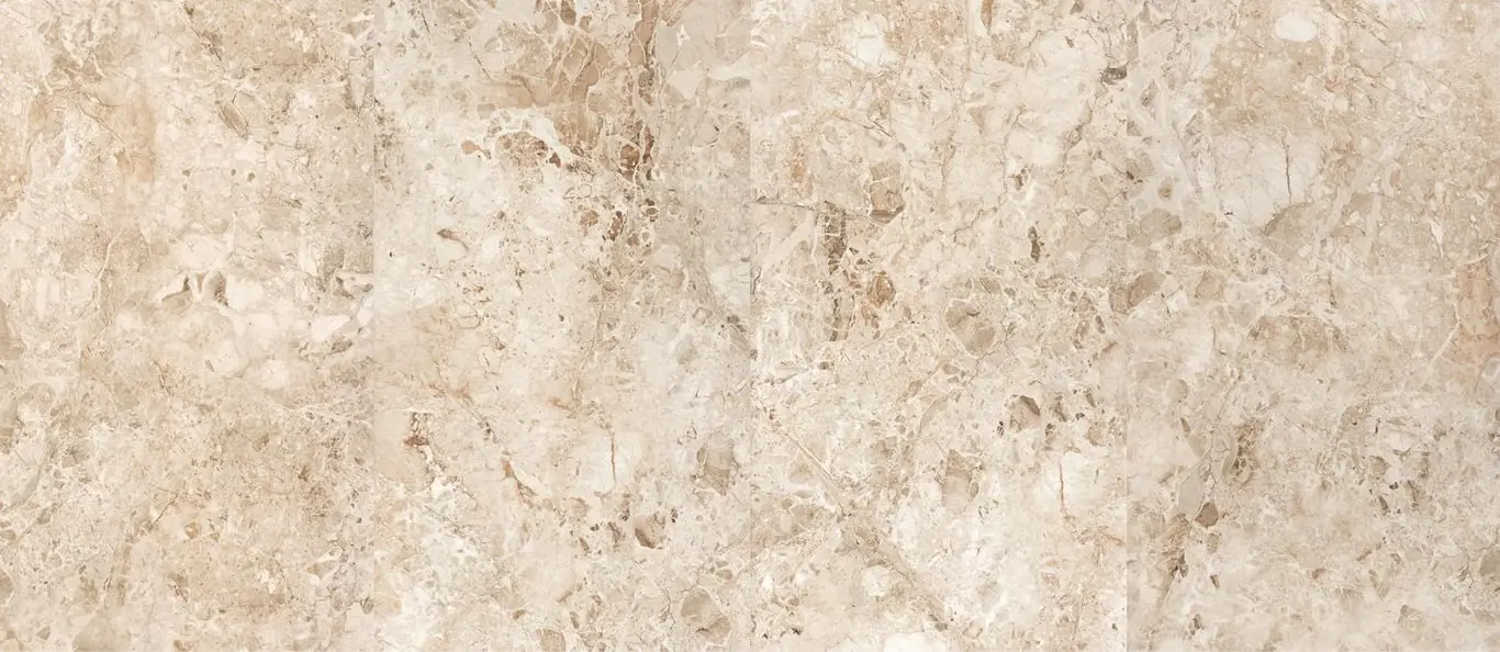 dmb2160_02.jpg