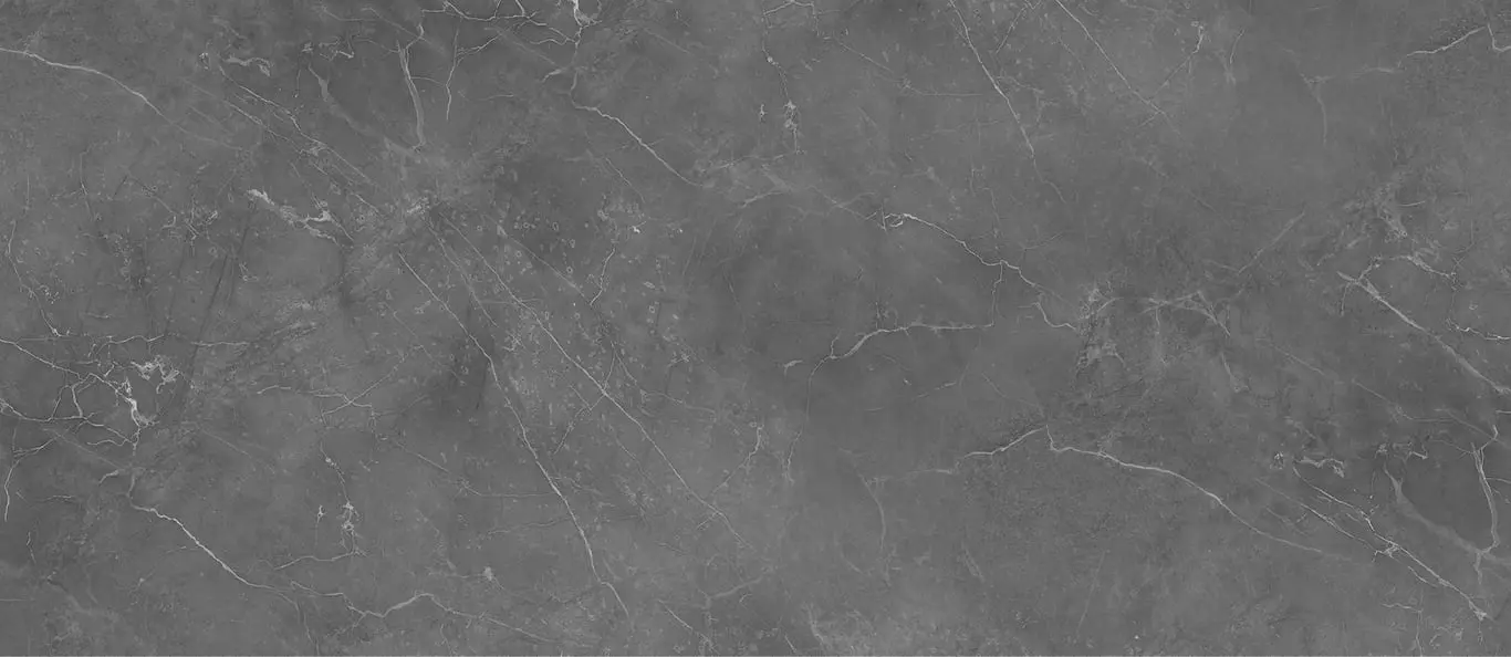 dmb961_02.jpg