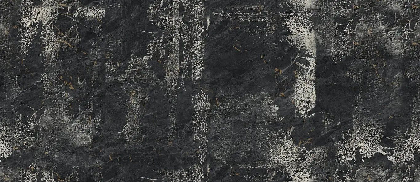 ds1290_02.jpg