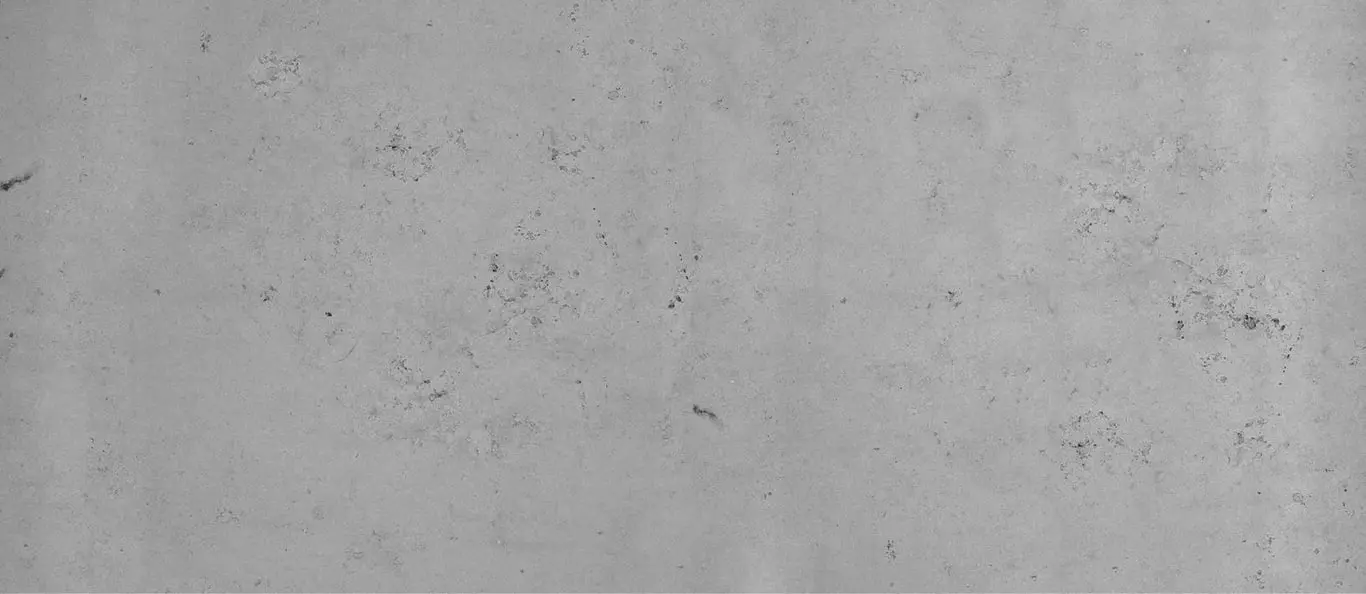 ds2140_02.jpg