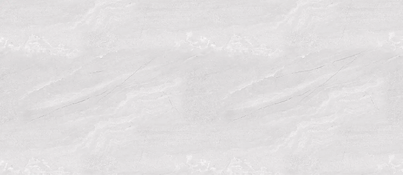 ds66_02.jpg