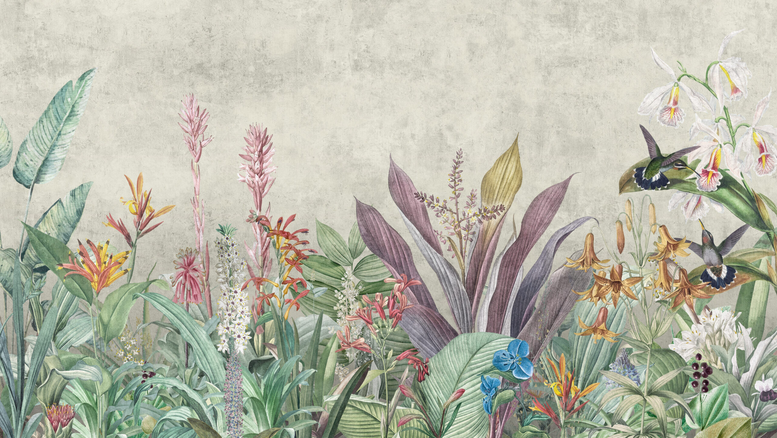 Wandkult XXL Tapetenmotiv „Kolibrigarten“ – florale Illustration mit tropischen Pflanzen, Blüten und Kolibris in Grün auf Offwhite, zarte Farben und ruhiger Vintage-Look.